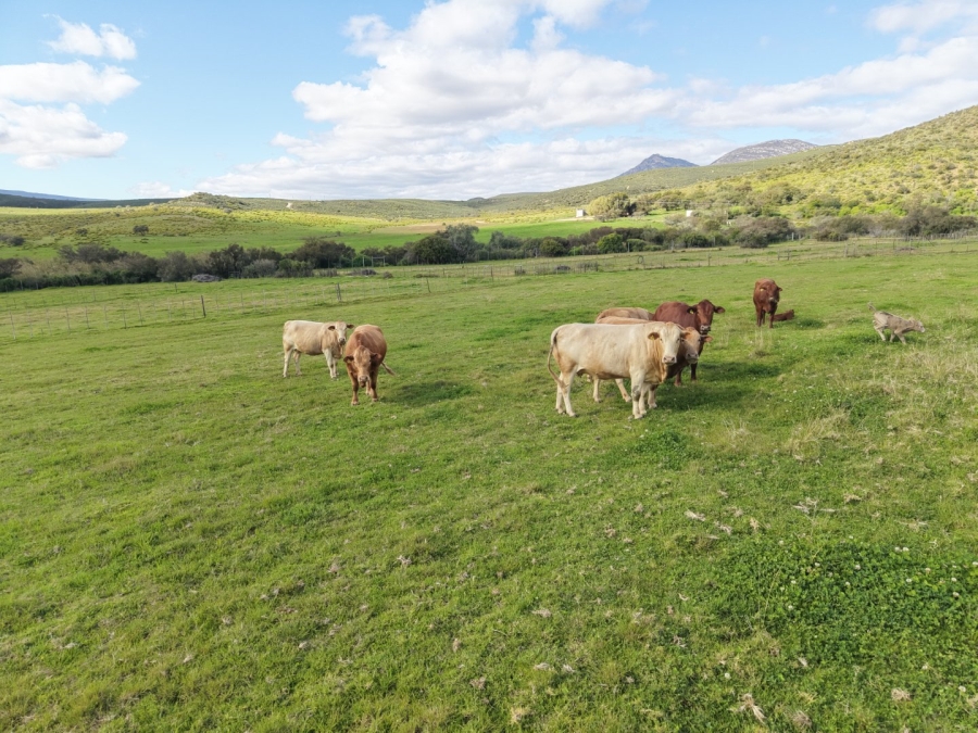 Commercial Property for Sale in Mossel Bay Rural Western Cape
